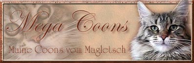 Mega Coons- vom Magletsch