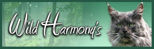 Wild Harmony